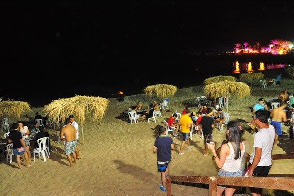 Zoo Beach Party 